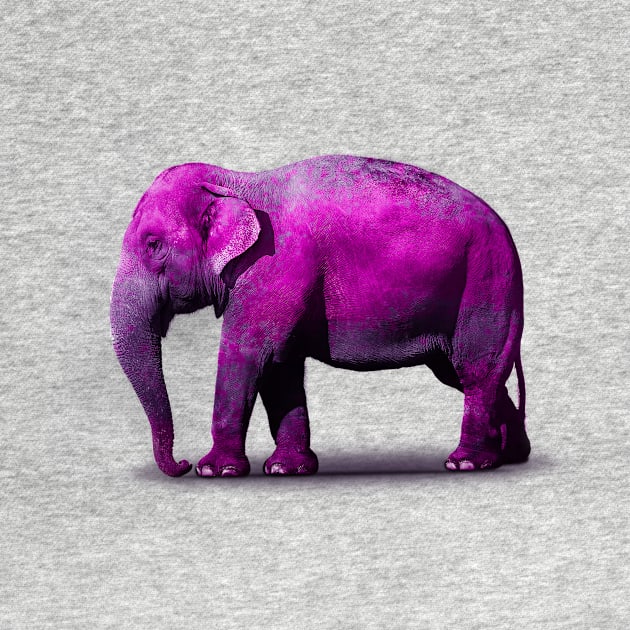 Purple Elephant by Vin Zzep